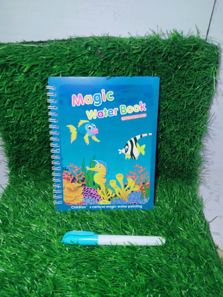 magic water book (repeat use)